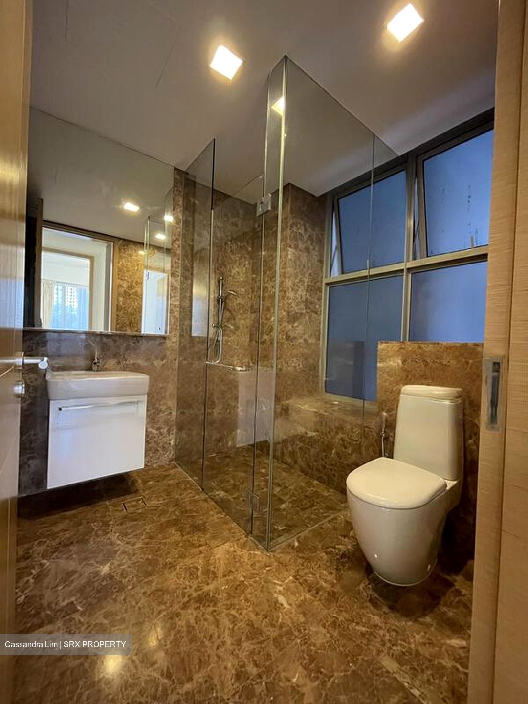 Residences @ Killiney (D9), Apartment #466429921